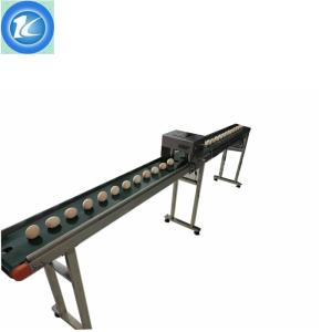 Quality Advanced Design Automatic Batch Coding Machine Whole Tray Egg Inkjet Printer for sale