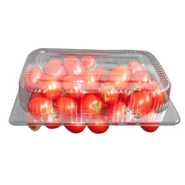 Disposible Plastic Thermoforming Machine , Automatic Thermoforming Machine 125 Mm Depth