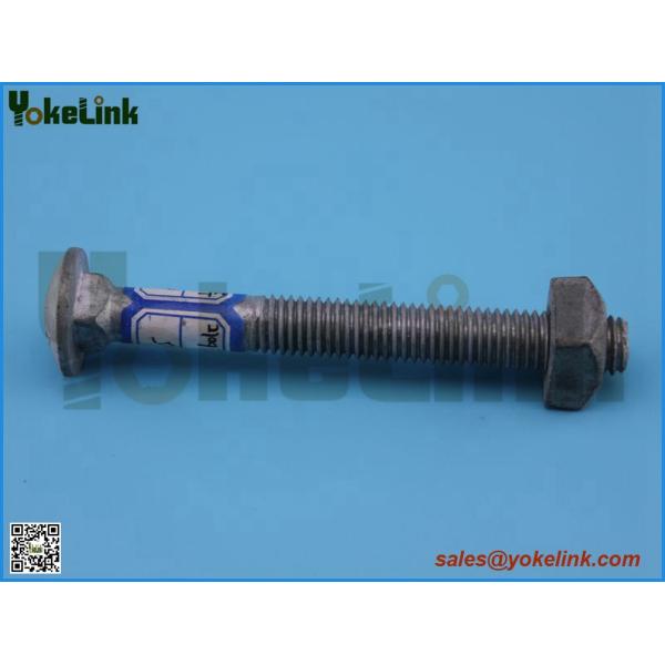 Hot dip galvanized Carriage bolt