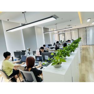 Shanghai Forever Import & Export Co., Ltd.