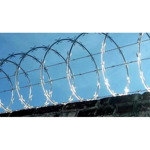 Extreme Resistance Razor Barbed Wire , Double Harpoon Security Razor Wire