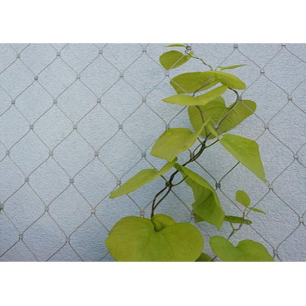 7*7 Stainless Steel Cable Mesh