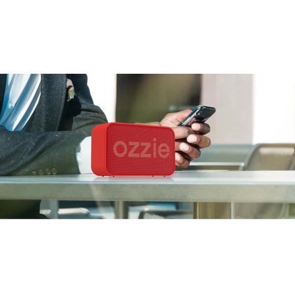 Portable Mini Outdoor Speaker IPX7 Waterproof With 20 Hours Playback Time