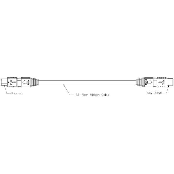 10G OM3 MPO Patchcord