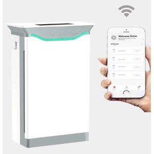 Quality HOMEFISH Negative Ion Household Air Purifier UVC Luftreiniger 220V for sale