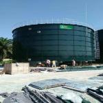 800m3 Anaerobic Digester Tank CSTR Advanced Waste Digester Biogas Tank