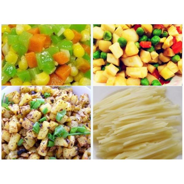 Industrial Fruit Slicer Machine / Carrot Ginger Vegetable Shredder Machine