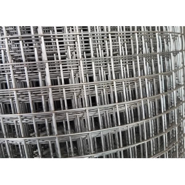 Breeding Net / Plastered 1x30m Ss Welded Wire Mesh