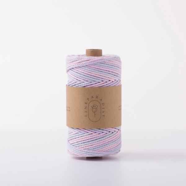 ISO9001 Solid Braid Cotton Rope Colorful 3mm Twisted Macrame Cord