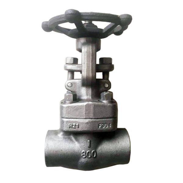 pressure 800LB ANSI standard forged globe valve