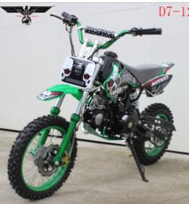 Quality D7-12e 110cc Electric and Kick Start Dirt Bike for sale