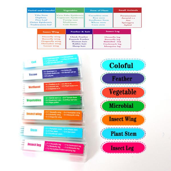 Biology Specimens Prepared Microscope Slides Set 35pcs