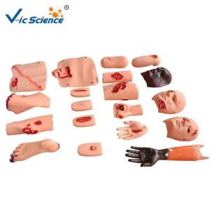 Quality Advanced Trauma Accessories CPR Training Manikins Nurse Training Model for sale