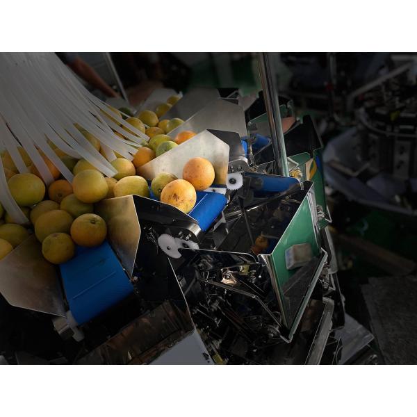 PVC Conveying Belt Multihead Weigher Packing Machine 5000g For Sticky Fish Block