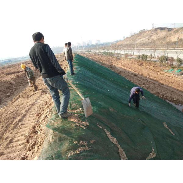 Online Technical Support 3D Erosion Control Geonet for Road Mountain Slope Protection