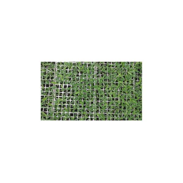 EPS / EVA / EPE / EPP Material 200 Well Seedling Tray Eps200 agriculture nursery tray