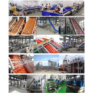 Pineapple Canning Production Line High Efficiency Fast Speed