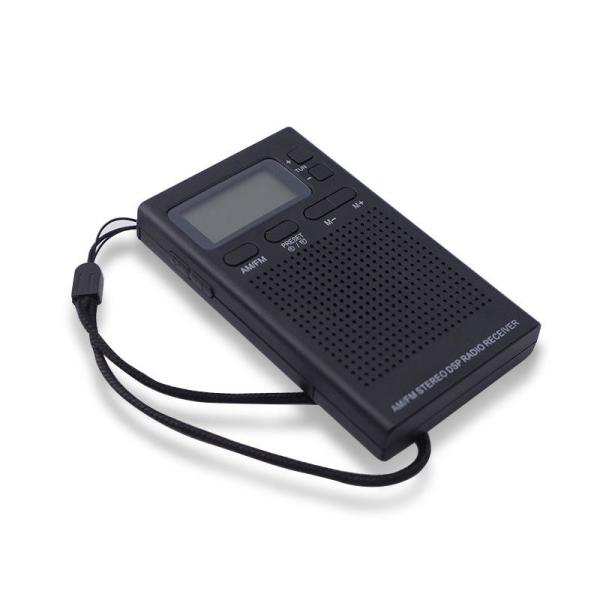 2 Band AM/FM Stereo Portable Digital Radio With LCD Screen