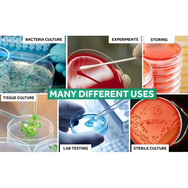 petree dish petri dish 90mm petri dish with lids metal petri dish petri dish  peachtree dish