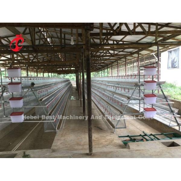 Auto Three Phases Poultry Manure Scraper Machine Remove Chicken Waste Sandy