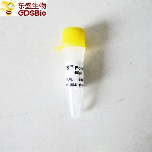 China PCR QPCR FS Taq DNA Polymerase P1071 P1072 P1073 P1074 on sale
