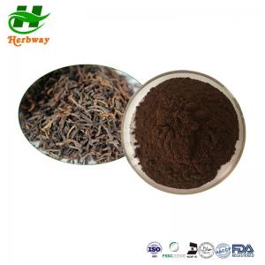 China Camellia Sinensis Green Tea Extract Powder CAS 84650-60-2 Camellia sinensis O. Ktze. on sale
