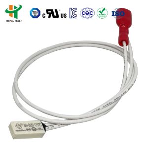 Normally Open BW-ABJ Thermal Protector , 250V 10A BW-ABS Temperature Switch