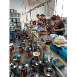 Changzhou Suring motor technology CO.,LTD