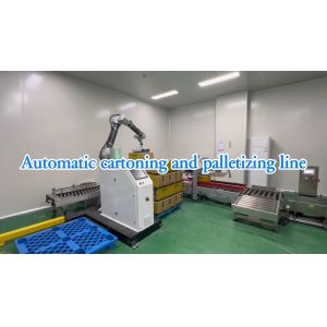Quality WG300 Industrial Automatic Food Automatic Packaging Line Solution SUS304 for sale