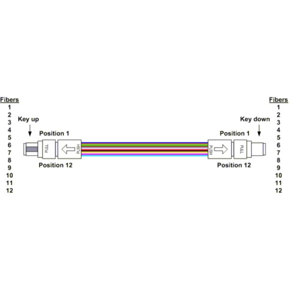 10G OM3 MPO Patchcord