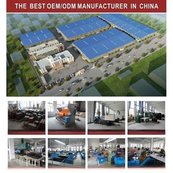 CE Certification Black Horse-Riders Body Vest for Lightweight Care and Protection