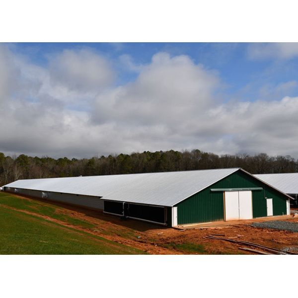 Multi Storey Two Storey Steel Structure Building Chicken Farm House