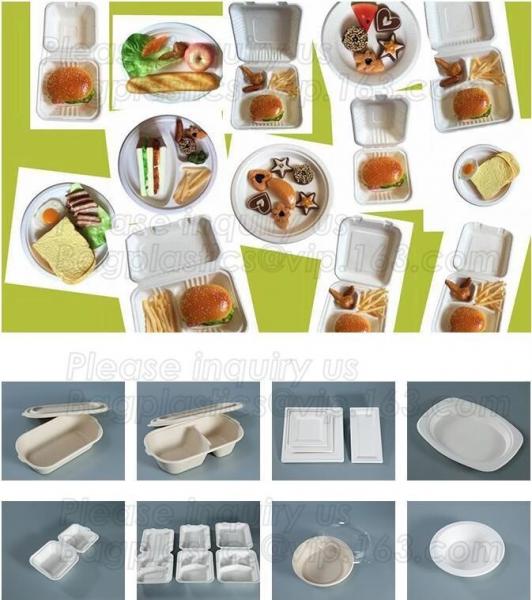 Disposable biodegradable plastic fiffin lunch box,compartment lunch box with lid,clamshell food packaging macaron pp bli