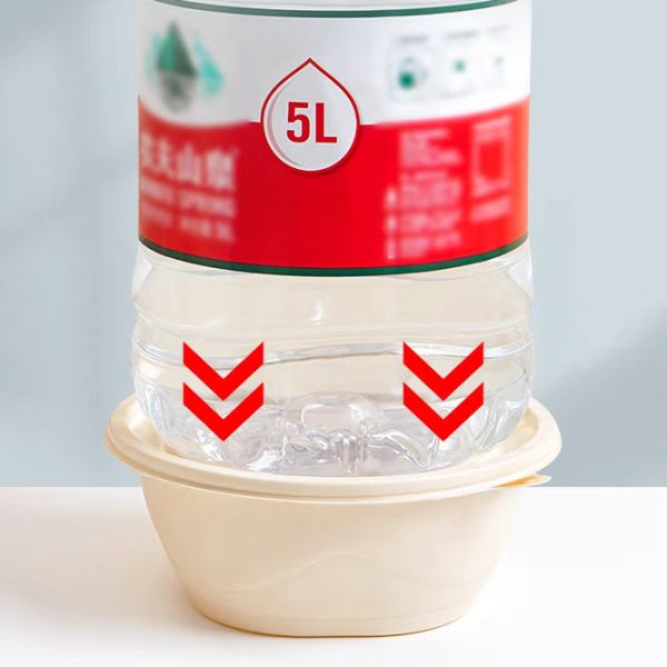 Disposable Corn Starch Container Degradable 2 Layer For Soup Noodle