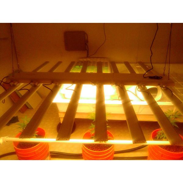 Programmable Adjustable Spectrum LED Grow Lights For All Plant Stages Growth 650W