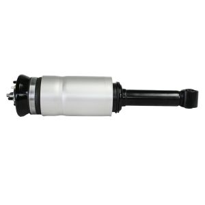 Front Land Rover Air Suspension for Discovery 3 Rnb501580 Rnb501250