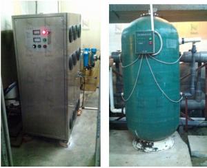 Quality Ozone Machine Ozone Generator Project Swimming Pool Water Treatment for sale