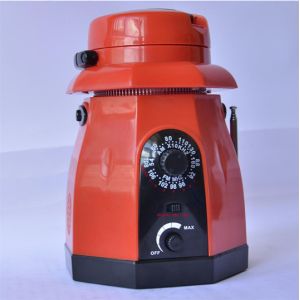 Dynamo NOAA Weather Band 15 LED torch/flashlight