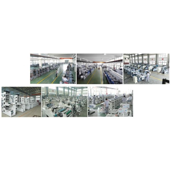 Adhesive Label Automatic Flexographic Printer 310mm Width