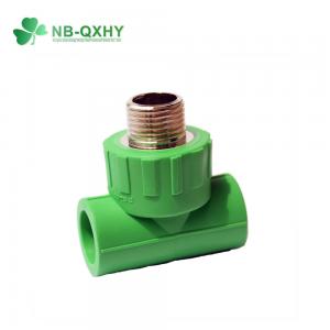 China Agricultural Pipes PP-R Water Pipe Fitting with Brass in Different Sizes on sale