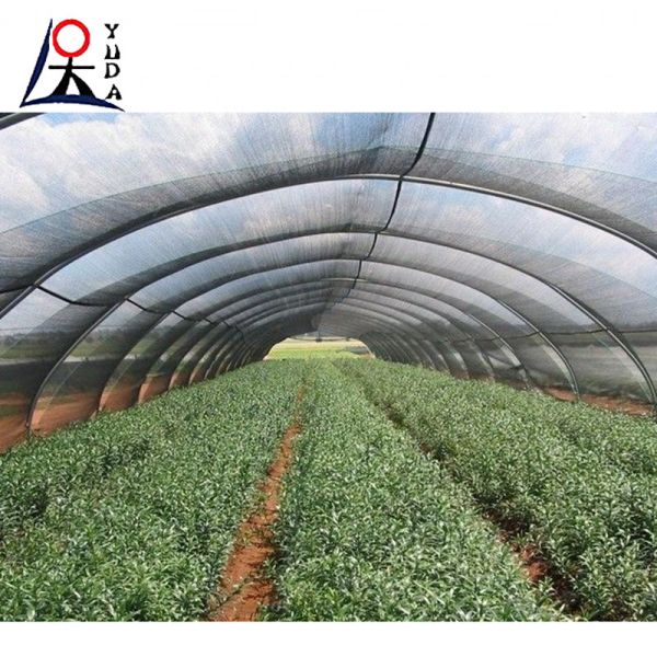 30gsm-300gsm HDPE Sun Shade Net Greenhouse Vegetable Garden