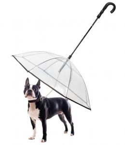 China Dog Leash With Umbrella Attached Extendable For Small Dogs Adjustable on sale