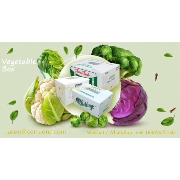Embossing PP Vegetable Corrugated Boxes Rice Meat Corflute Box