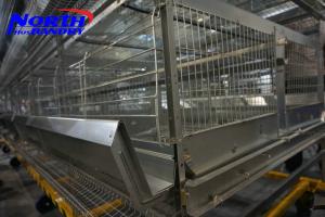 China Prefab chicken farm full automatic chicken cage/Uganda poultry farm automatic chicken laye on sale