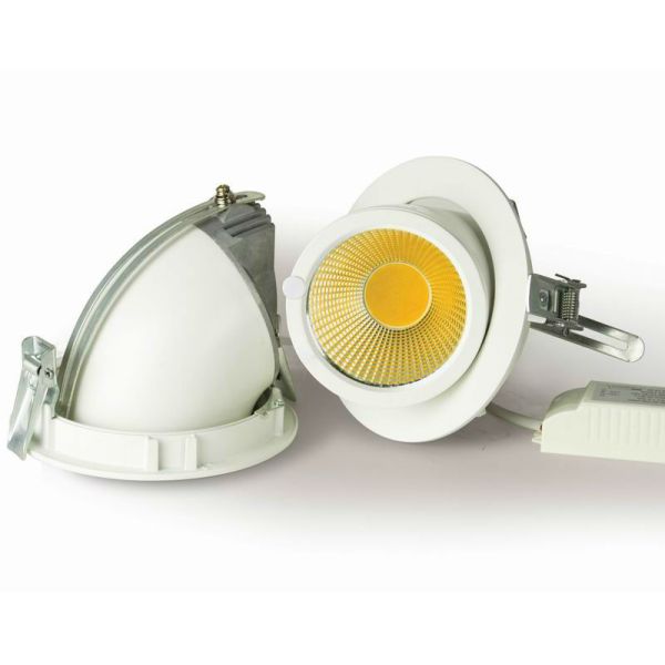 LED COB 360 degree adjustable trunk downlight
