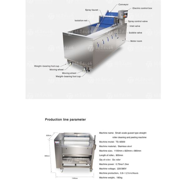 Multifunctional Vegetable And Fruit Processing Line Hair Roller Bubble Cleaning Production Line