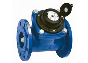 DN100 PN16 Flange Port Woltman Water Meter Ductile Iron Housing With Positive Displacement