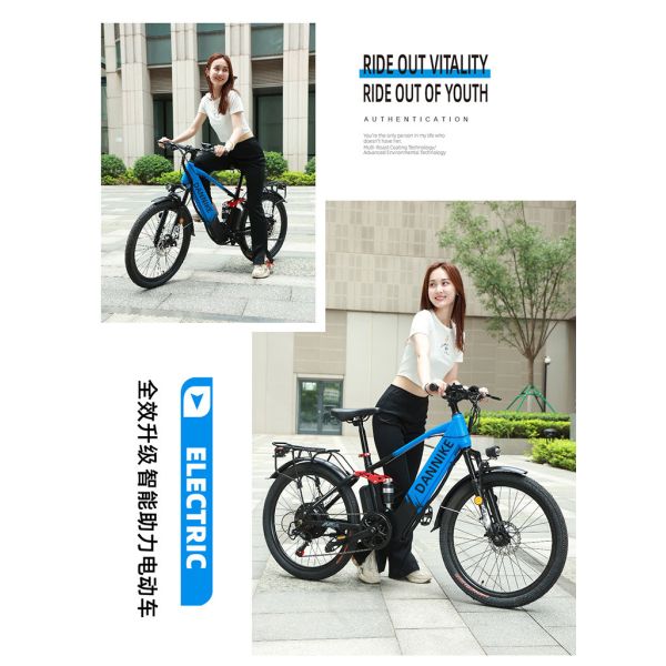 ELECTRIC NEW ELECTRIC BIKE MOUNTAIN BIKE ADULT RETRO OFF-ROAD VARIABLE SPEED BOOSTER ELECTRIC BIKE