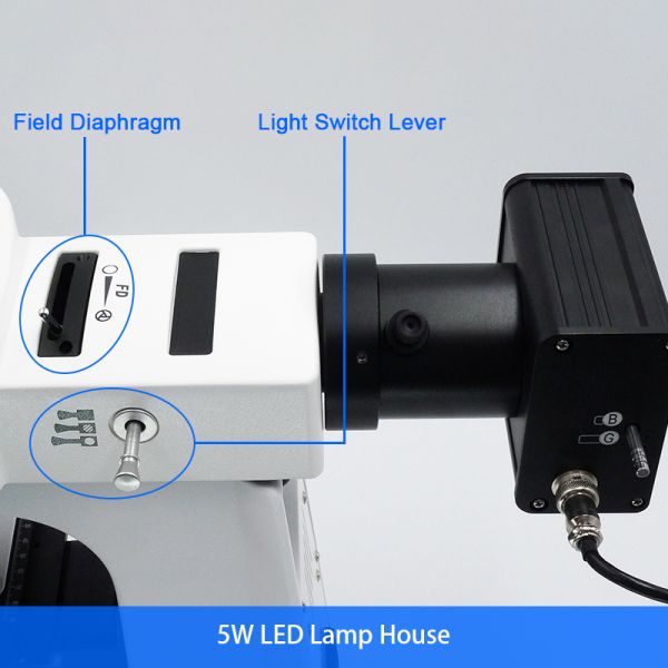 40x - 1000x LED Trinocular Fluorescence Microscope For Research / Learning