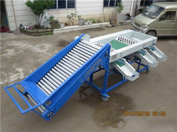 garlic grading machine,garlic sorting machine,onion garding machine,onion sorting machine